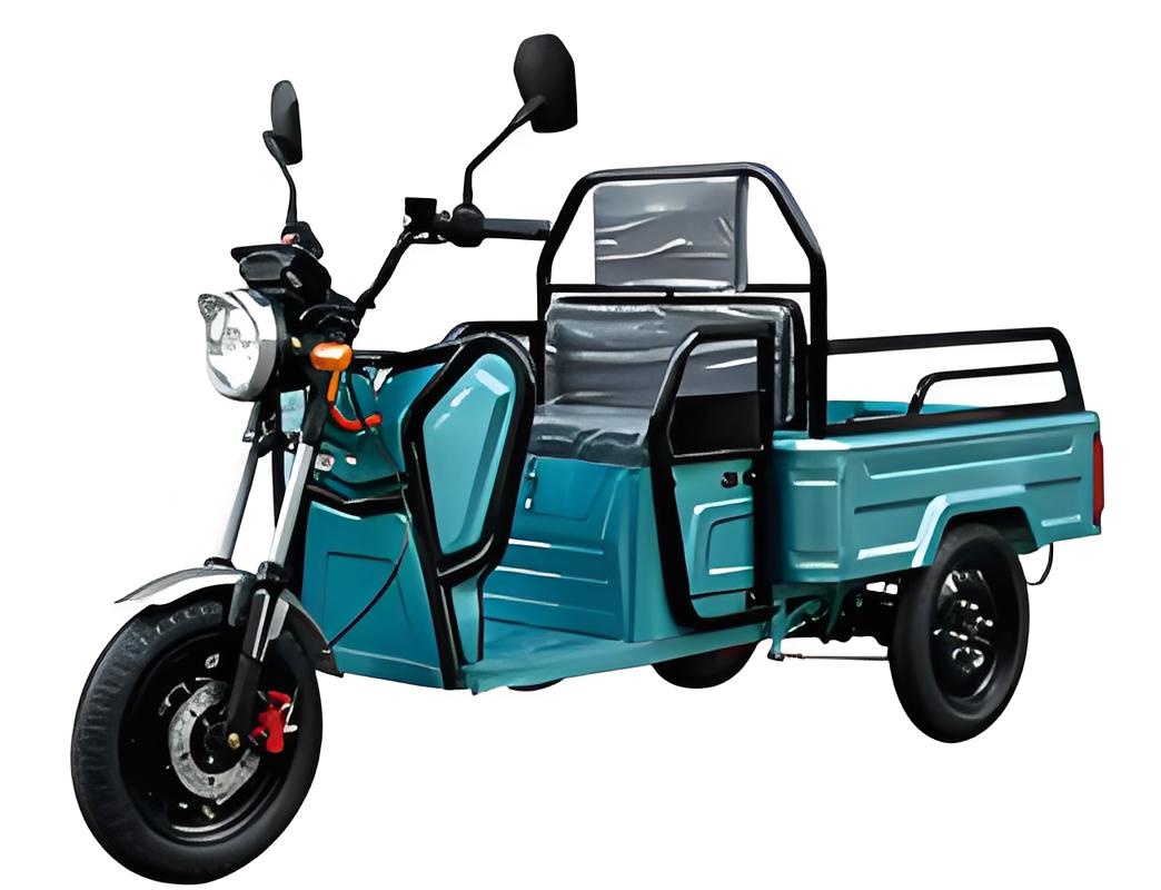 T40, 800W, 60V20Ah, 1200 cargo